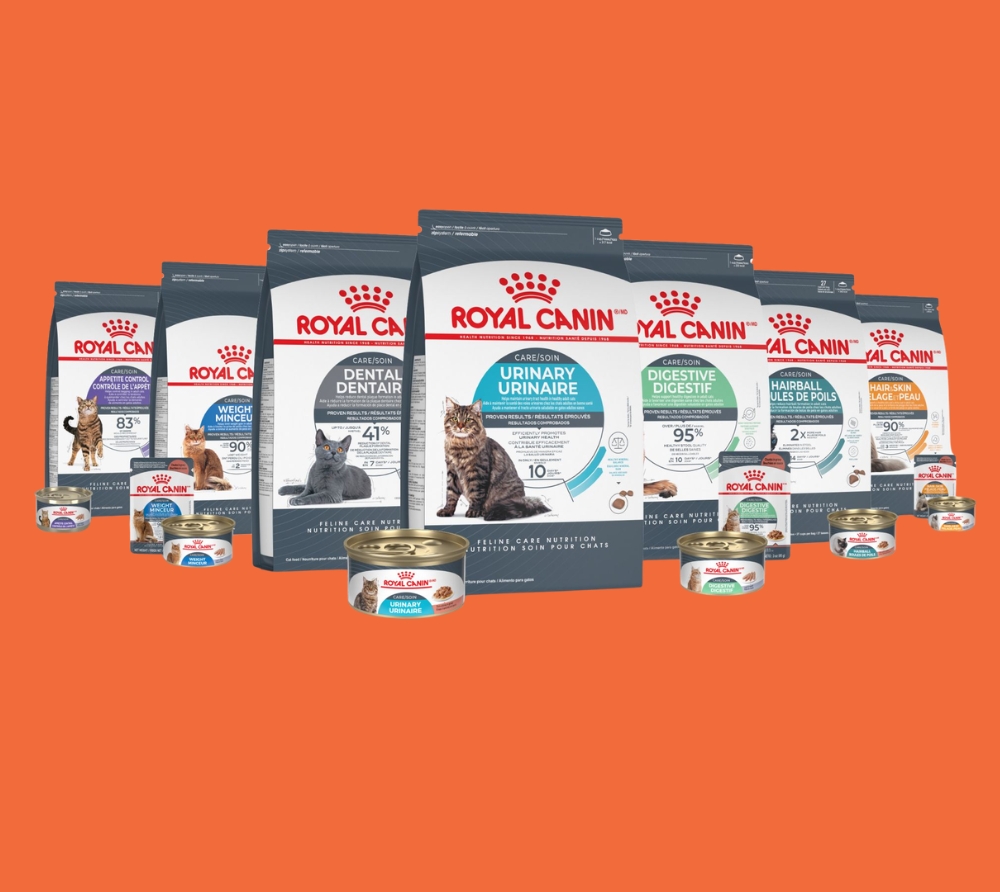 Premium dog nutrition