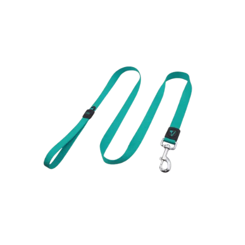 Doco Signature Nylon Leash Turquoise M