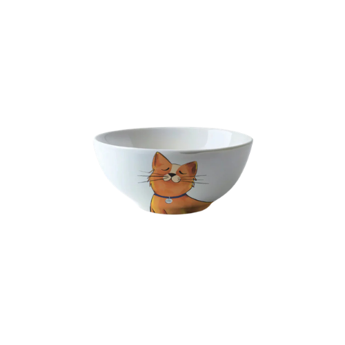 M Pet Pet Joy Galaya Ceramic Bowl 550ML